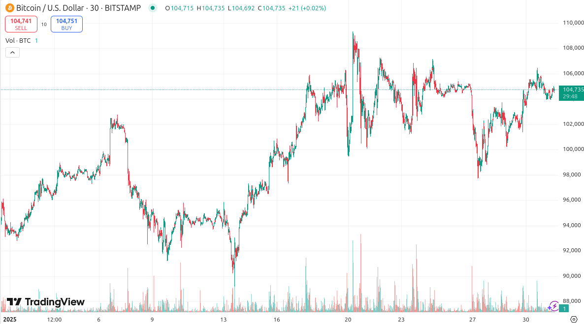 Bitcoin price chart for January 2025