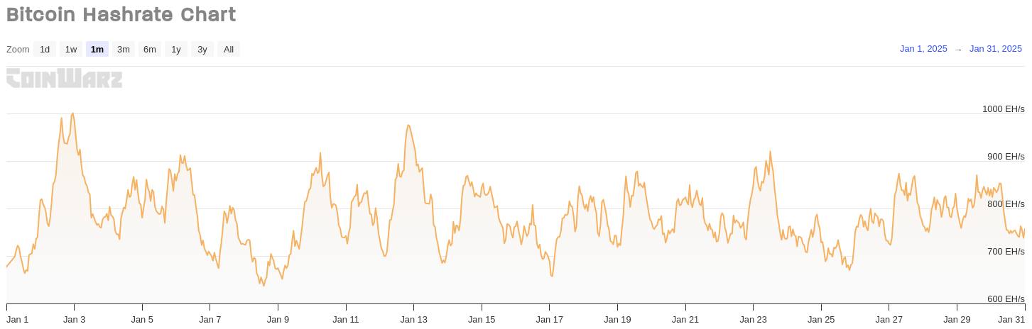 Bitcoin Hashrate Chart - January 2025