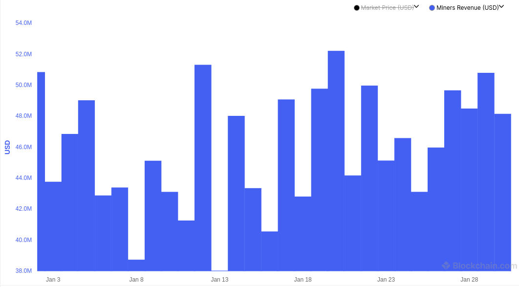 Daily mining revenue - January 2025