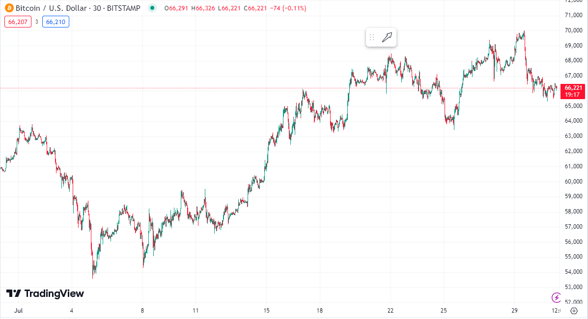 Bitcoin price chart for july 2024