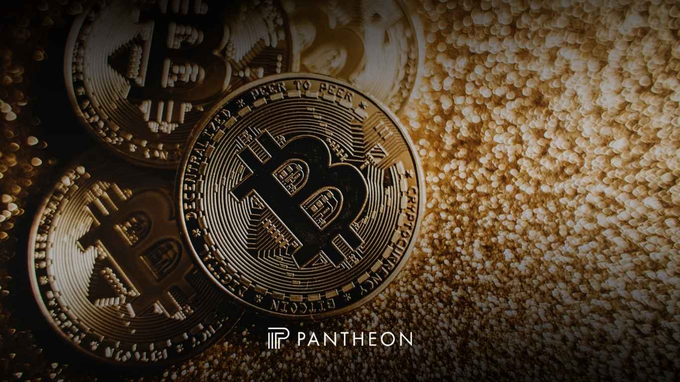 November 2024 Bitcoin Mining Analysis